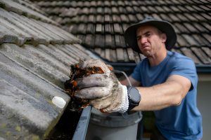 Gutters Melbourne