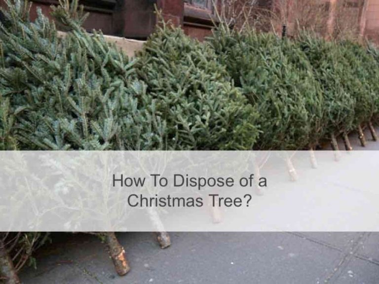 How to dispose of a Christmas Tree?