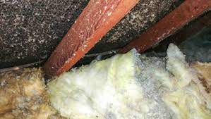 Insulation with asbestos