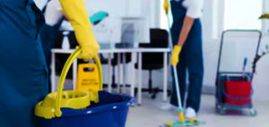 6 Essential Tips for Faster Efficient Spring Cleaning | Budget Bins