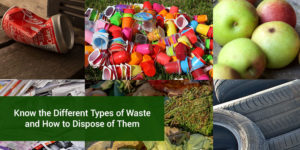 Know Different Types of Waste How to Dispose Them | Budget Bins